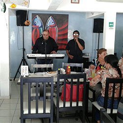 Un día en El Rincón Marino